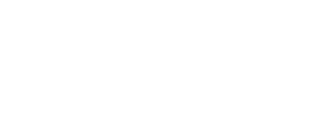 stoneridge-logo-vit